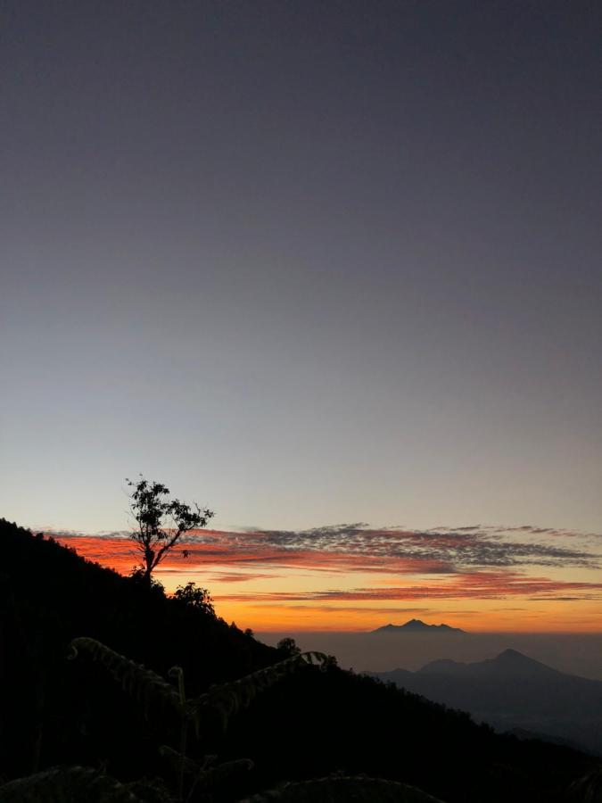 Ticket To The Moon Hammock Camp Villa Selat Buitenkant foto